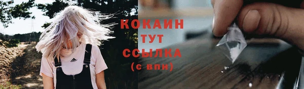 прущие грибы Белоозёрский