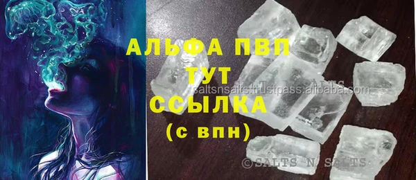 прущие грибы Белоозёрский