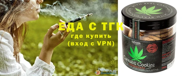 индика Покачи