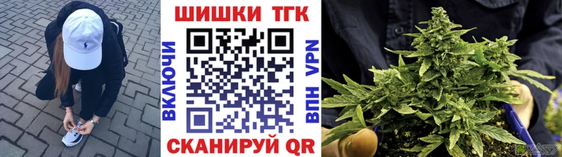 где купить наркоту  omg как зайти  Марихуана THC 21%  Светогорск 